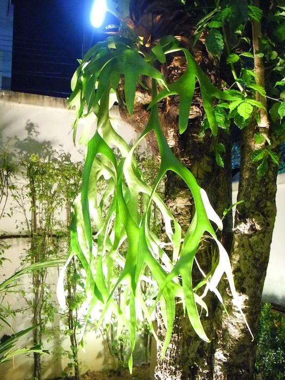 Green House Phuket Pa Khlok Esterno foto
