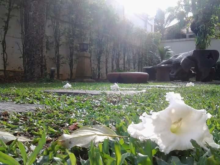 Green House Phuket Pa Khlok Esterno foto